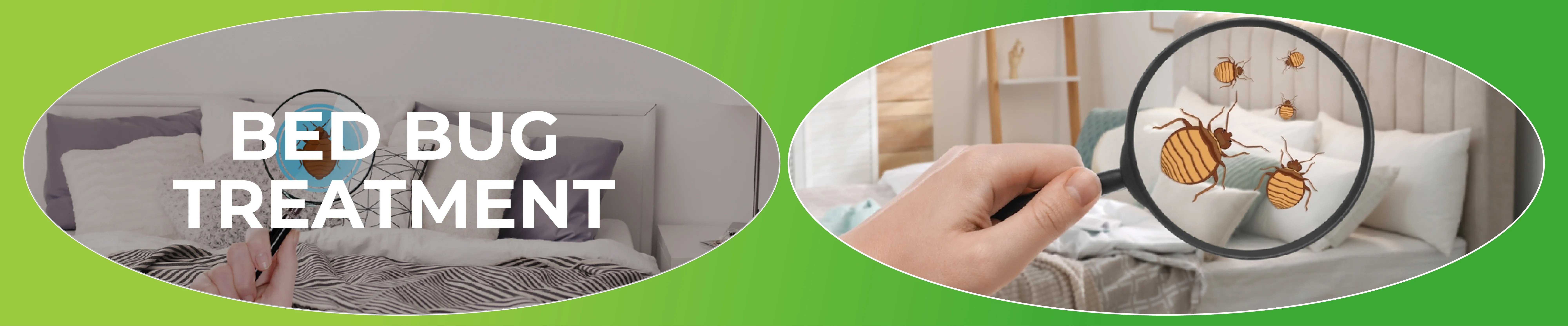 carpet cleaning in westchester, carpet cleaning westchester, carpet cleaners in westchester, carpet cleaners in westchester, commercial carpet cleaning, commercial carpet cleaning in westchester, westchester rug cleaners, rug cleaning services in westchester, same day carpet cleaning, same day rug cleaning in westchester