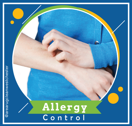 carpet cleaning in westchester, carpet cleaning westchester, carpet cleaners in westchester, carpet cleaners in westchester, commercial carpet cleaning, commercial carpet cleaning in westchester, westchester rug cleaners, rug cleaning services in westchester, same day carpet cleaning, same day rug cleaning in westchester