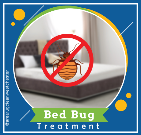 carpet cleaning in westchester, carpet cleaning westchester, carpet cleaners in westchester, carpet cleaners in westchester, commercial carpet cleaning, commercial carpet cleaning in westchester, westchester rug cleaners, rug cleaning services in westchester, same day carpet cleaning, same day rug cleaning in westchester