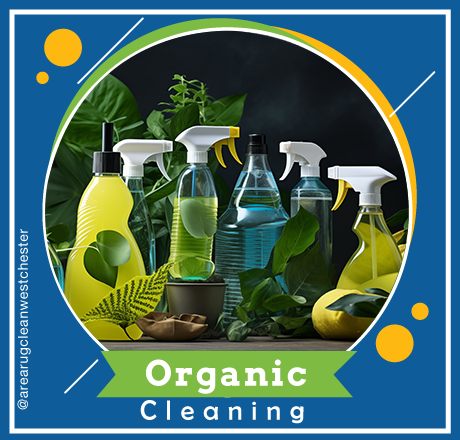 carpet cleaning in westchester, carpet cleaning westchester, carpet cleaners in westchester, carpet cleaners in westchester, commercial carpet cleaning, commercial carpet cleaning in westchester, westchester rug cleaners, rug cleaning services in westchester, same day carpet cleaning, same day rug cleaning in westchester