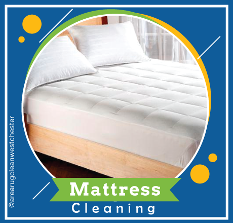 carpet cleaning in westchester, carpet cleaning westchester, carpet cleaners in westchester, carpet cleaners in westchester, commercial carpet cleaning, commercial carpet cleaning in westchester, westchester rug cleaners, rug cleaning services in westchester, same day carpet cleaning, same day rug cleaning in westchester