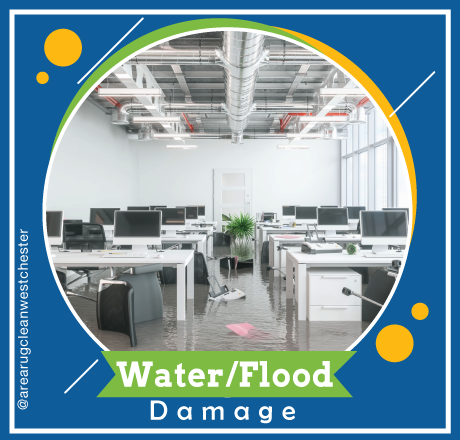 carpet cleaning in westchester, carpet cleaning westchester, carpet cleaners in westchester, carpet cleaners in westchester, commercial carpet cleaning, commercial carpet cleaning in westchester, westchester rug cleaners, rug cleaning services in westchester, same day carpet cleaning, same day rug cleaning in westchester