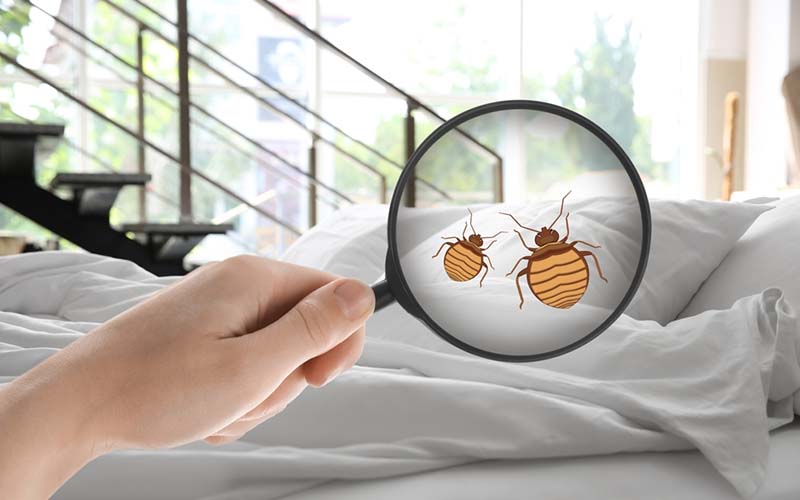 carpet cleaning in westchester, carpet cleaning westchester, carpet cleaners in westchester, carpet cleaners in westchester, commercial carpet cleaning, commercial carpet cleaning in westchester, westchester rug cleaners, rug cleaning services in westchester, same day carpet cleaning, same day rug cleaning in westchester