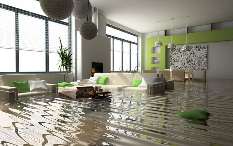 carpet cleaning in westchester, carpet cleaning westchester, carpet cleaners in westchester, carpet cleaners in westchester, commercial carpet cleaning, commercial carpet cleaning in westchester, westchester rug cleaners, rug cleaning services in westchester, same day carpet cleaning, same day rug cleaning in westchester