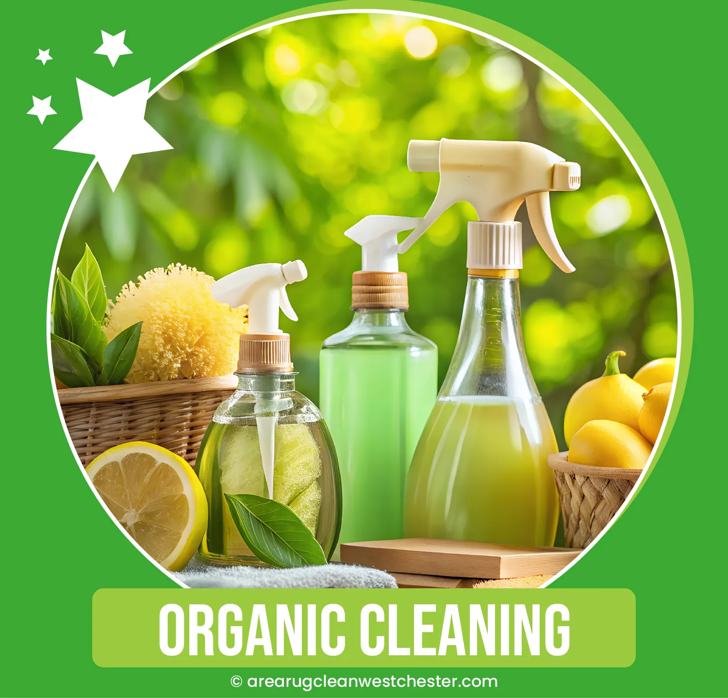 carpet cleaning in westchester, carpet cleaning westchester, carpet cleaners in westchester, carpet cleaners in westchester, commercial carpet cleaning, commercial carpet cleaning in westchester, westchester rug cleaners, rug cleaning services in westchester, same day carpet cleaning, same day rug cleaning in westchester